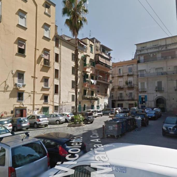 Apartment F839 Naples